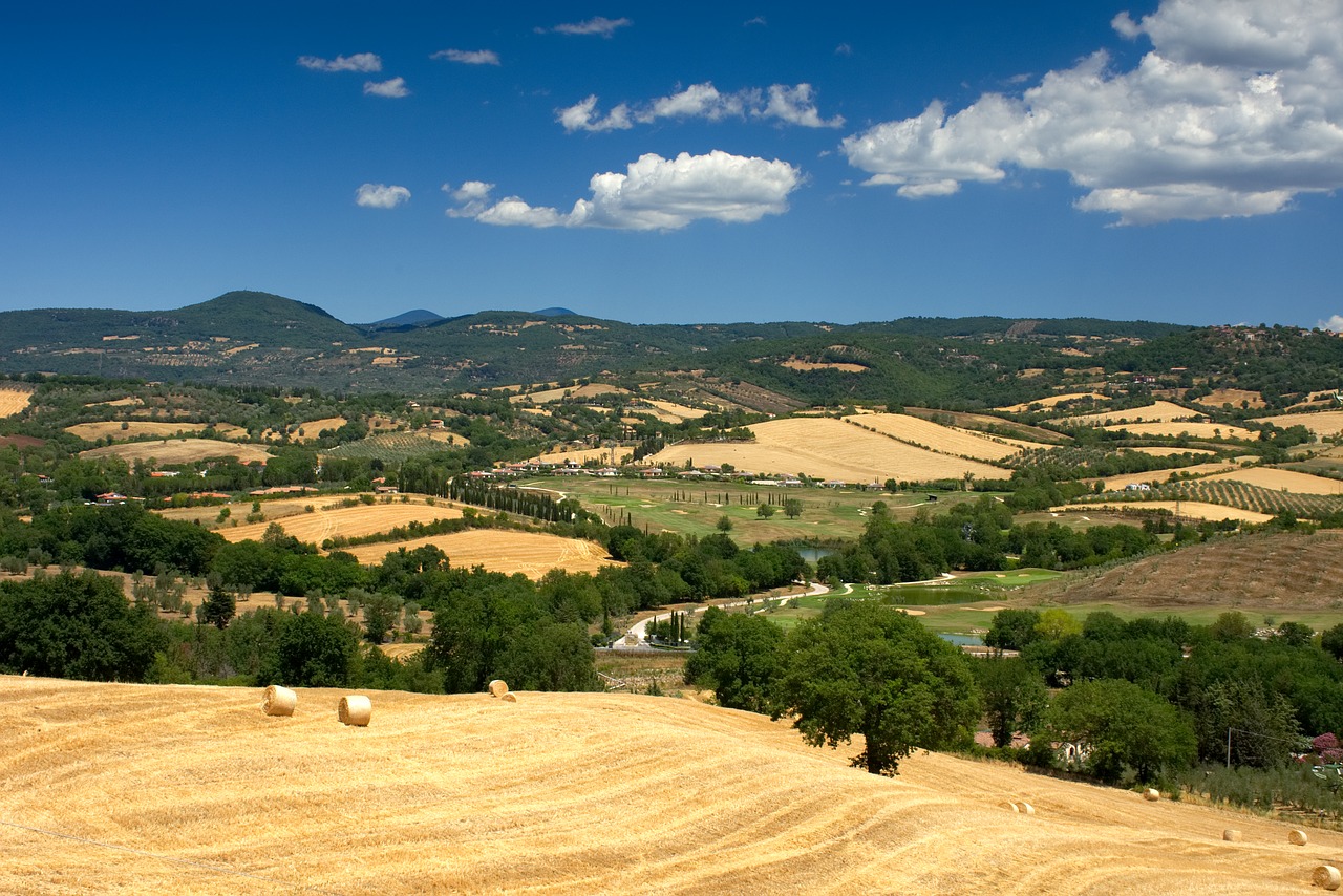 campagna_t