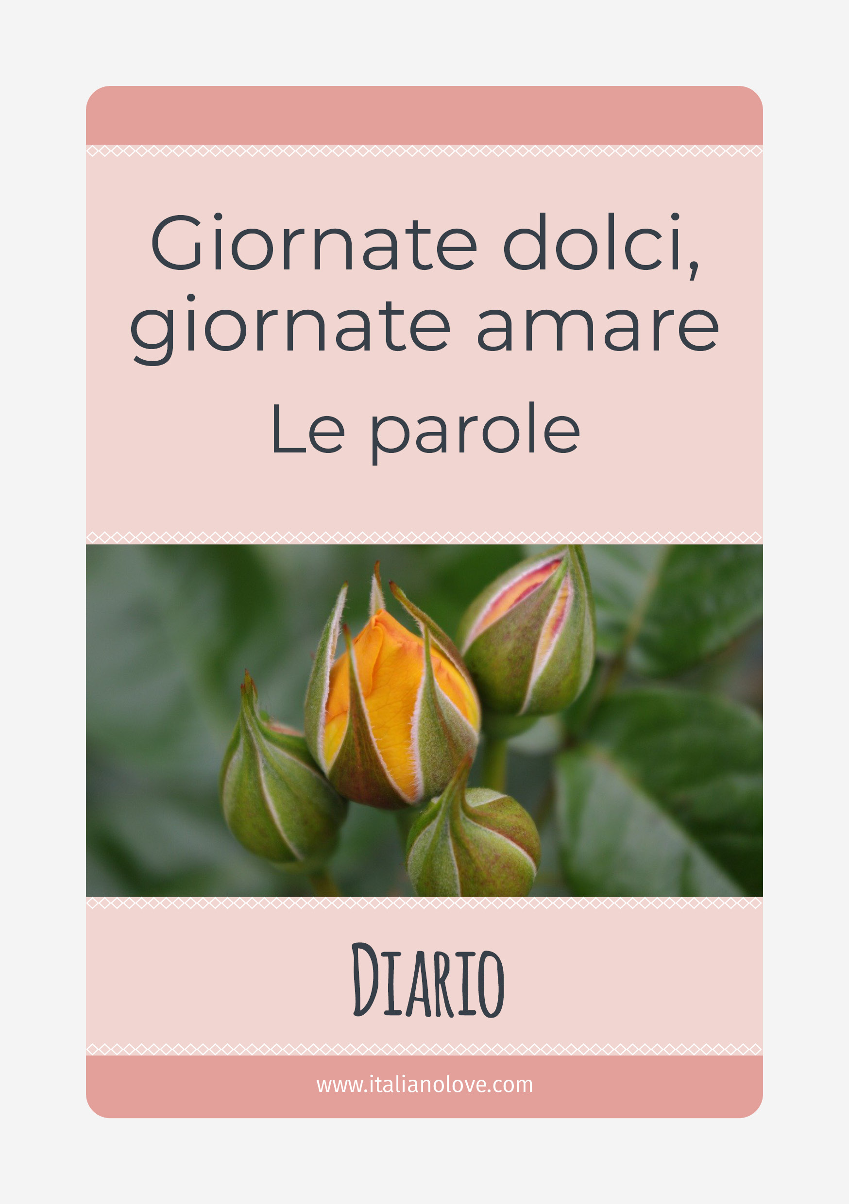 Diario_parole_copertina Diario in italiano