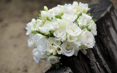 Il bianco dell’attesa